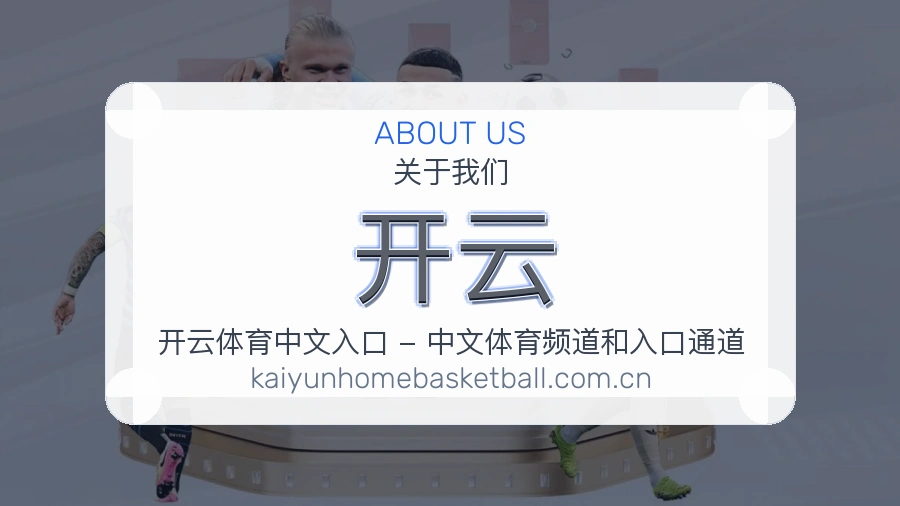 开云平台简介